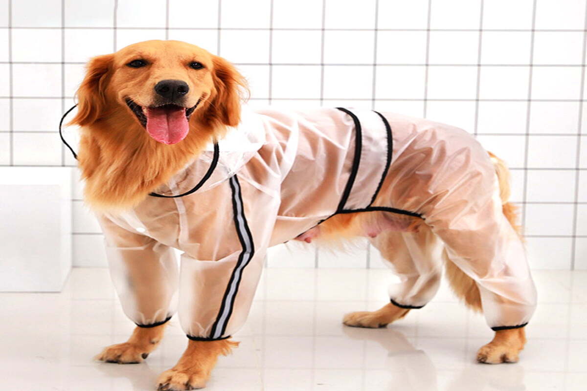 Complete Study On The Full Body Dog Rain Suit